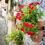 Bed and Breakfast L'antico Ritrovo Moliterno