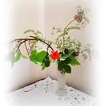 Bed and Breakfast L'antico Ritrovo Moliterno