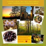 L'antico Ritrovo Bed and Breakfast *