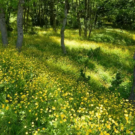 L'antico Ritrovo * Moliterno