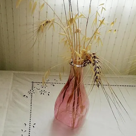 L'antico Ritrovo Moliterno