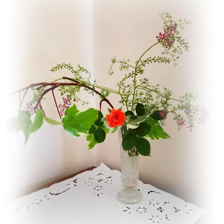 Bed & Breakfast L'antico Ritrovo Moliterno