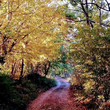 L'antico Ritrovo Bed & Breakfast