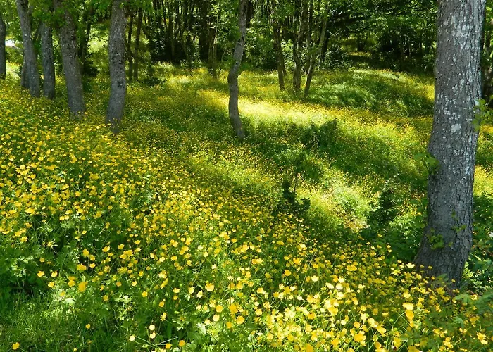 L'antico Ritrovo * Moliterno