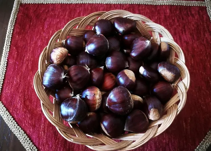 L'antico Ritrovo Bed & Breakfast Moliterno