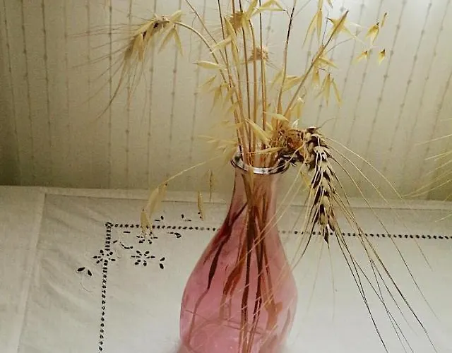 L'antico Ritrovo Moliterno