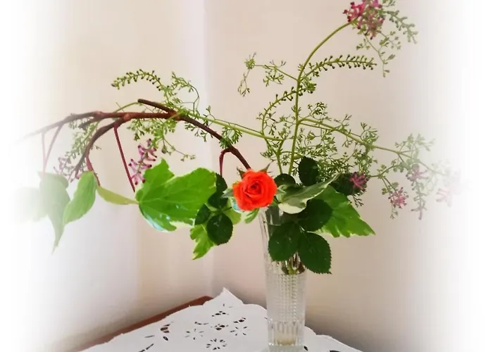 Bed & Breakfast L'antico Ritrovo Moliterno