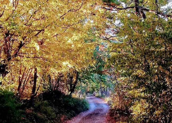 L'antico Ritrovo Bed & Breakfast